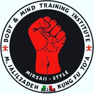 Logo kung fu to'a Italia